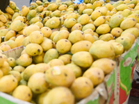 mango: A heat wave's lamented victim: The mango, India's king of fruits -  The Economic Times