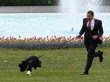 Barack Obama presents the first family's new Portuguese Water Dog puppy