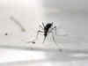 Where are we faltering when it comes to countering deadly dengue