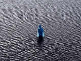 Taking holy dip in river Ganga