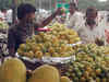 Amrapali mango finding takers in Dubai, Hong Kong and Malaysia
