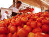 Avoid home-grown tomatoes this summer for better ones post monsoon
