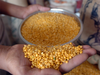 Consumers from Karnataka to get tur dal at Rs 130/kg from today