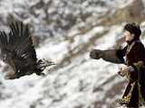 A hunter releases her golden eagle