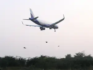 One of the persons said the talks are for about 70 A320neo planes. At list prices, the total value of the planes would be $7.5 billion. One of the persons said the talks are for about 70 A320neo planes. At list prices, the total value of the planes would be $7.5 billion.
