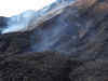 Human right violations at mines run by Coal India: Amnesty International