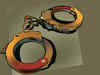 3 arrested in Rohtak gangrape case: Haryana DGP