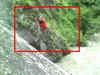 Chamba: 3 missing after car falls into river