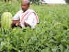 Deadline for crop insurance proposal extended till Aug 10
