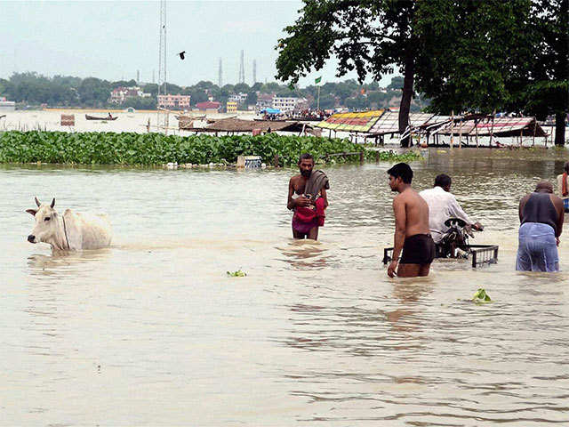 Sangam area submerged due to flood