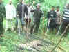 Another leopard rescued in Tapi