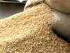 Open market wheat price likely to be cut soon