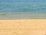 Odisha to fix coast erosion though natural process