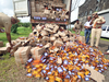 550 litres of country liquor unearthed in search in Gopalganj