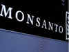 Monsanto pulls GM Cotton seed from India