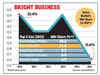 Warburg Pincus, Bain Capital eye Surya Roshni's lighting business