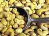 Cashew exports rising; up 15 % in Nov 2009