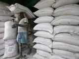 Bet on Cement firms to play India story; 5 stocks gain 100% in 1 year