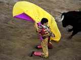 Bullfighting in Colombia