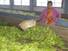 India International Tea Convention to be held at Ooty from September 22