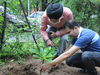 Nonprofits make sure tree planting isn't just a Photo-op