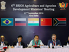 BRICS Employment Working Group meeting to begin in Delhi on Tuesday