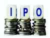 HPL Electric IPO sails through despite slow start, subscribed 7.8 times