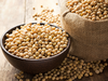 Soybean meal exports decline 65% year on year