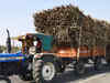 Maharashtra ministers divided over 2016-17 sugarcane crushing season