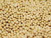 Soybean futures decline on global cues