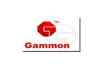Gammon Infrastructure's fund rising plans