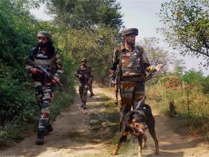 Canine 'soldiers', the mute sentinels of Kashmir