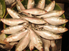 Bangladesh imposes 22-day ban on Hilsa fishing