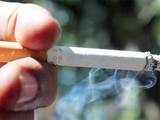 90% rise in consumption of smuggled cigarettes in India: Report