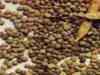 Guar seed prices slip on weak demand