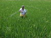 Policies, investments key to India's rural transformation: IFAD