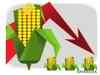 Record crop sends maize crashing 25%
