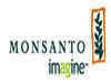 Monsanto India's Q3 net drops 14 per cent
