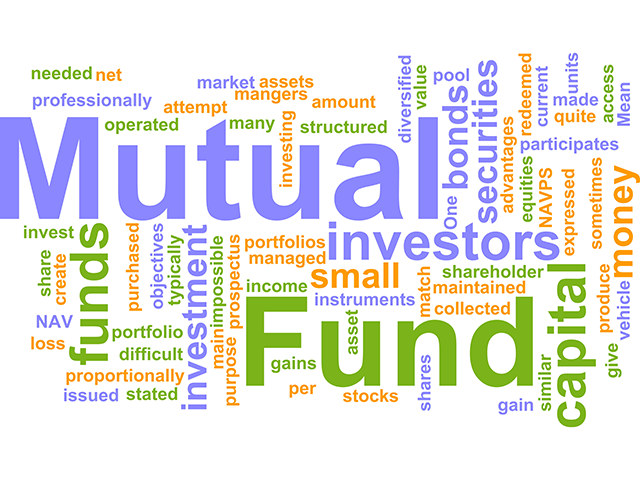 Smallcap funds
