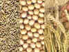 MCX to bet big on agro-commodities