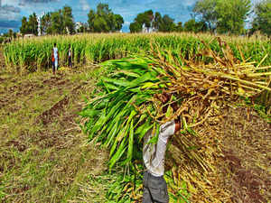 maharashtra farmer