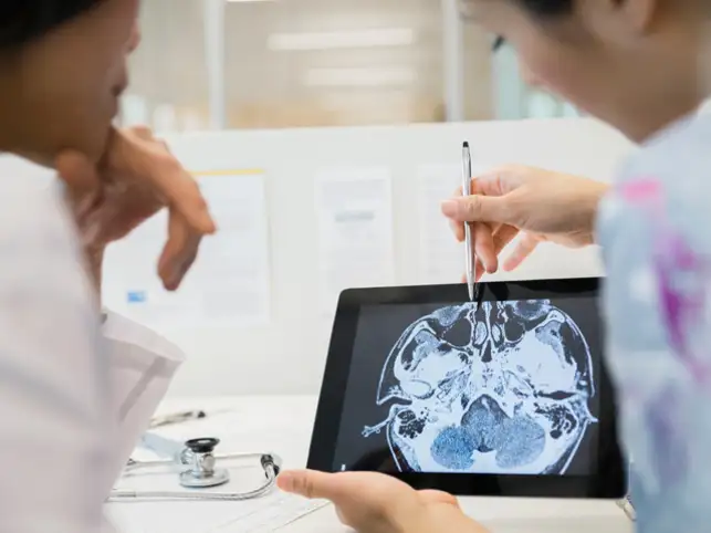 Here's how the brain regulates social behaviour differently in males & females Here's how the brain regulates social behaviour differently in males & females