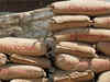 Cement makers in North India likely to post better profits: ICRA