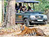 Poaching alert: 76 tigers dead this year