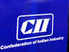 CII opens platform to build bridges for startups