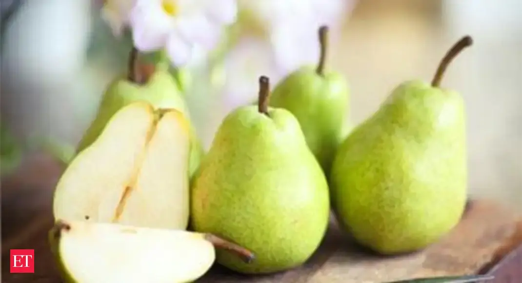 Belgian Conference Pears Now Available At IG International The Impressive Pears Ghandi Belgian Conference Pears Now Available At IG International The Impressive Pears Ghandi