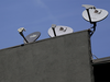 Dish TV, Videocon D2H to merge as single DTH company