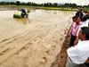 Rice farming in India much older than thought: Study