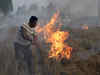 Significant level of stubble burning in Haryana, Punjab: Centre