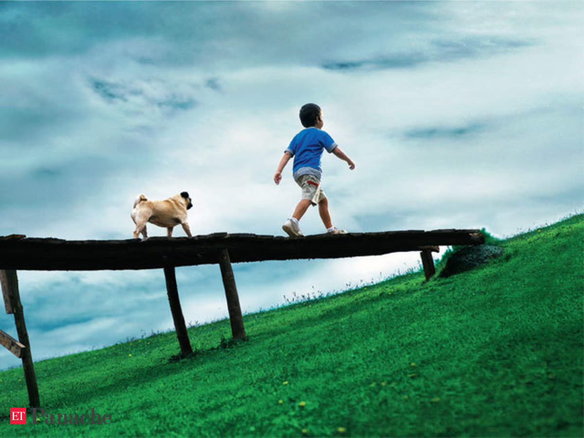 Pug life: Behind the scenes shooting of the Vodafone's pet campaign - The  Economic Times
